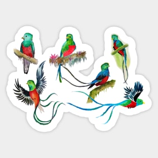 Watercolor Quetzal Collection Sticker